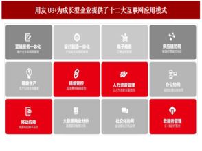 2017年中國管理軟件廠商云轉型現狀與趨勢分析